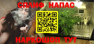 СК Ставрополь