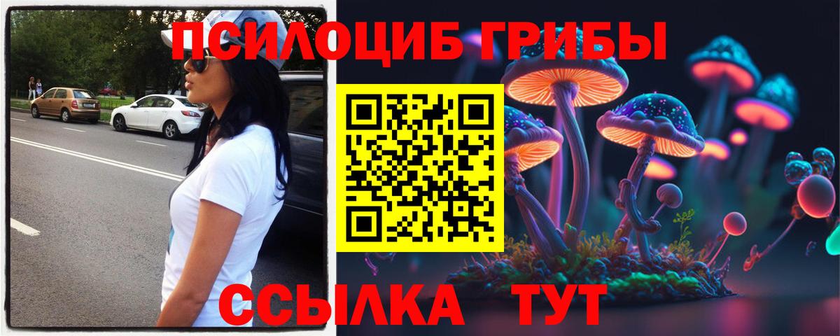 Псилоцибиновые грибы Psilocybine cubensis Туапсе